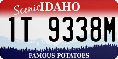 ID license plate 1T9338M