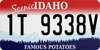 ID license plate 1T9338V