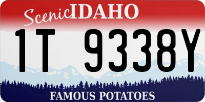 ID license plate 1T9338Y