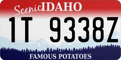 ID license plate 1T9338Z