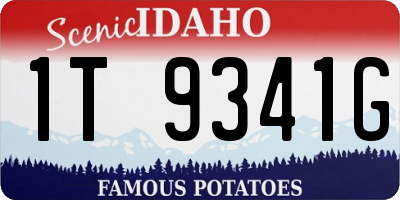 ID license plate 1T9341G
