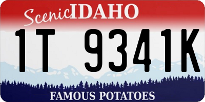 ID license plate 1T9341K