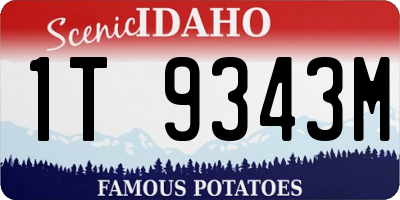 ID license plate 1T9343M