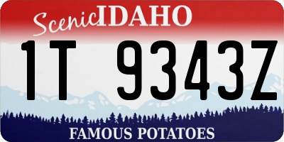 ID license plate 1T9343Z