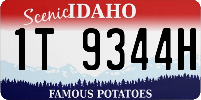 ID license plate 1T9344H