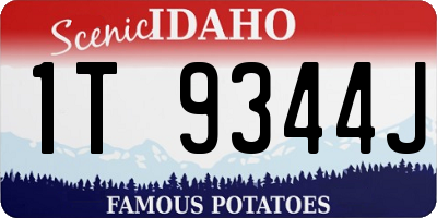 ID license plate 1T9344J