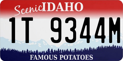 ID license plate 1T9344M