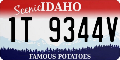 ID license plate 1T9344V