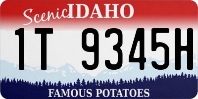 ID license plate 1T9345H