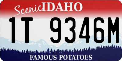 ID license plate 1T9346M