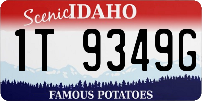 ID license plate 1T9349G