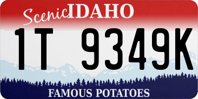 ID license plate 1T9349K