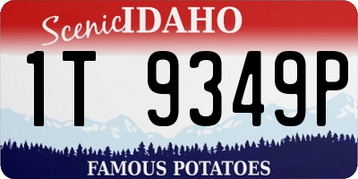 ID license plate 1T9349P