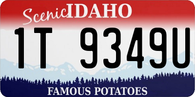 ID license plate 1T9349U