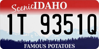 ID license plate 1T9351Q