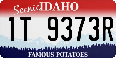 ID license plate 1T9373R