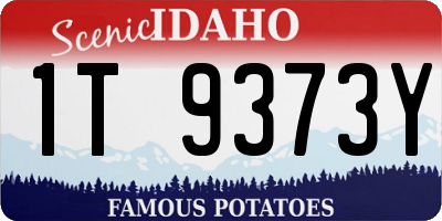 ID license plate 1T9373Y