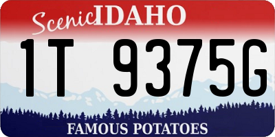 ID license plate 1T9375G
