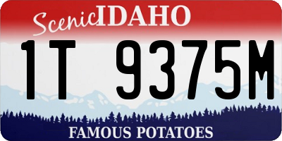 ID license plate 1T9375M
