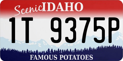 ID license plate 1T9375P