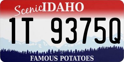 ID license plate 1T9375Q