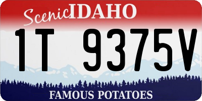 ID license plate 1T9375V