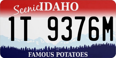 ID license plate 1T9376M