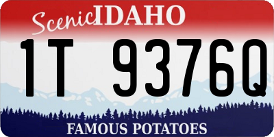 ID license plate 1T9376Q