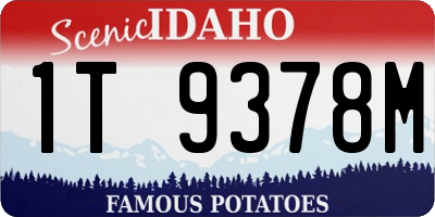 ID license plate 1T9378M