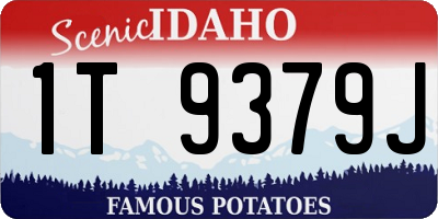 ID license plate 1T9379J
