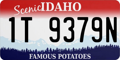ID license plate 1T9379N