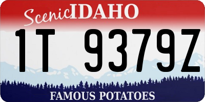 ID license plate 1T9379Z