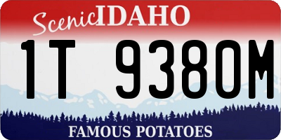 ID license plate 1T9380M