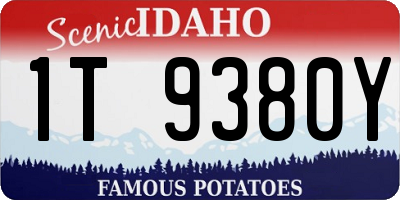 ID license plate 1T9380Y