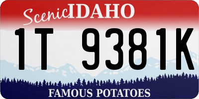ID license plate 1T9381K