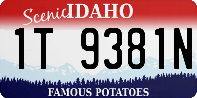 ID license plate 1T9381N