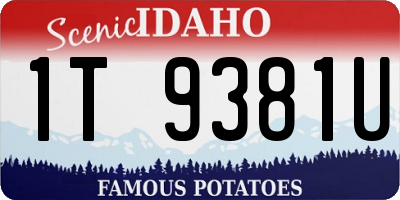 ID license plate 1T9381U
