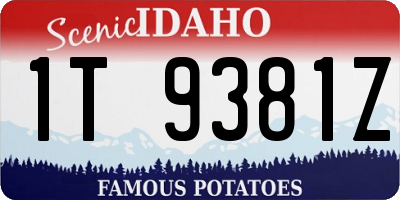 ID license plate 1T9381Z
