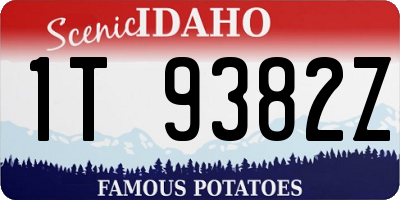 ID license plate 1T9382Z