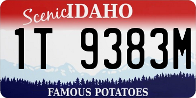 ID license plate 1T9383M