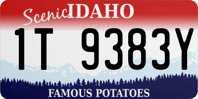 ID license plate 1T9383Y