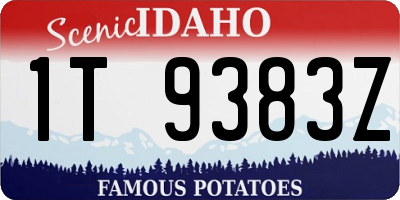 ID license plate 1T9383Z