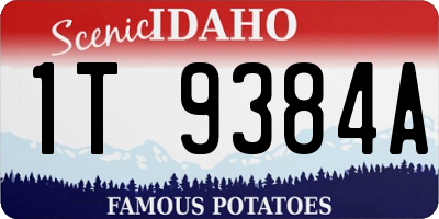 ID license plate 1T9384A