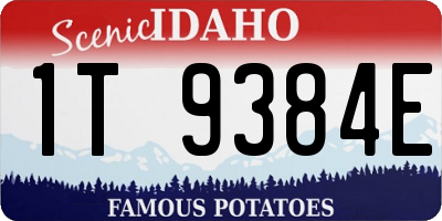 ID license plate 1T9384E