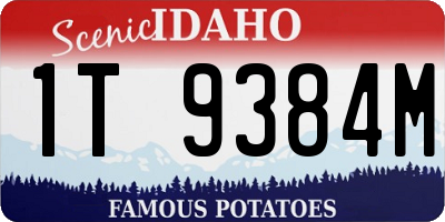 ID license plate 1T9384M