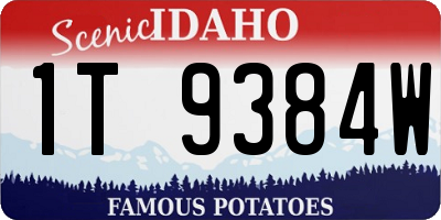 ID license plate 1T9384W