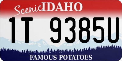 ID license plate 1T9385U