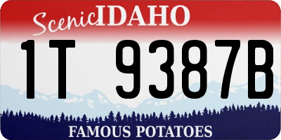 ID license plate 1T9387B