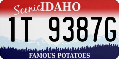 ID license plate 1T9387G