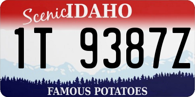 ID license plate 1T9387Z